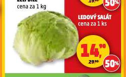 LEDOV SALT