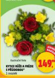 KYTICE RَE A FRZIE S PZDOBOU