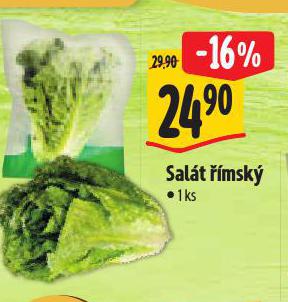 SALT MSK