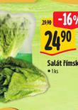 SALT MSK