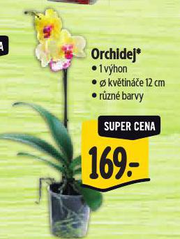 ORCHIDEJ