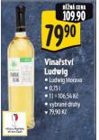 VINASTV LUDWIG