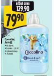 COCCOLINO AVIV