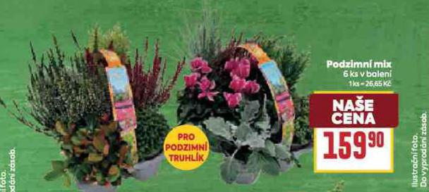 PODZIMN MIX
