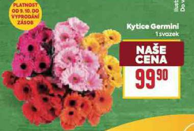 KYTICE GERMINI