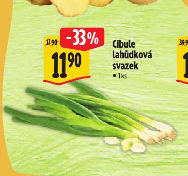 CIBULE LAHDKOV SVAZEK