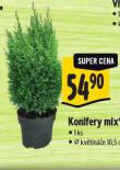 KONIFERY MIX