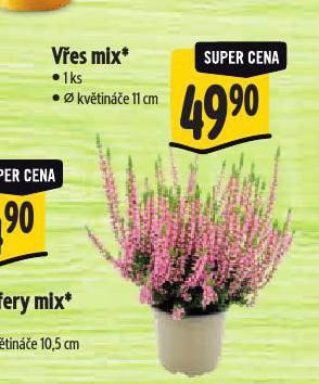 VES MIX
