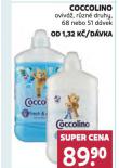 COCCOLINO AVIV