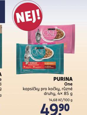 PURINA ONE KAPSIKY PRO KOKY