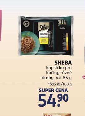 SHEBA KAPSIKY PRO KOKY