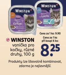 WINSTON VANIKA PRO KOKY