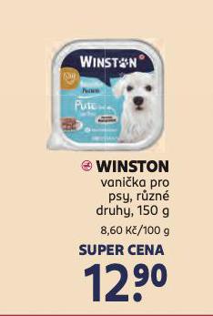 WINSTON VANIKA PRO PSY