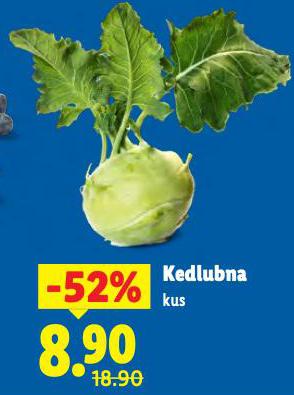 KEDLUBNA