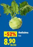 KEDLUBNA