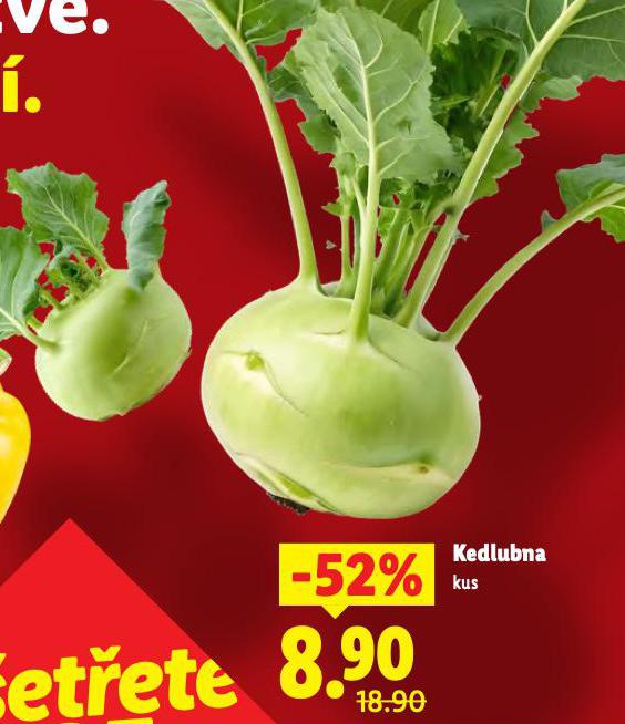 KEDLUBNA