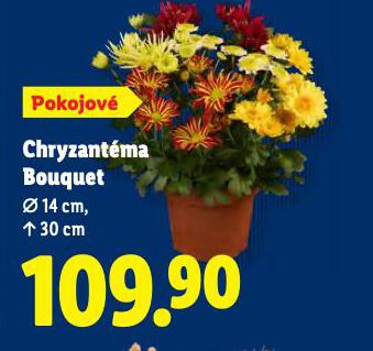 CHRYZANTMA BOUQUET