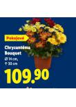 CHRYZANTMA BOUQUET