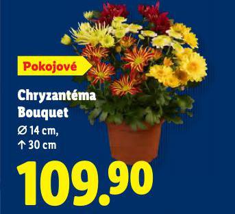 CHRYZANTMA BOUQUET