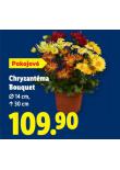 CHRYZANTMA BOUQUET