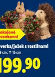 VEVERKA