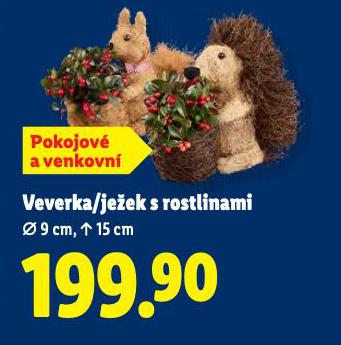 JEEK S ROSTLINAMI