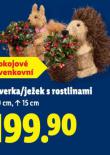 JEEK S ROSTLINAMI