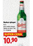 BUDVAR VEPN