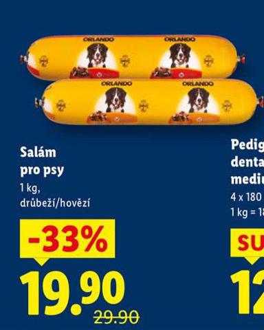 SALM PRO PSY