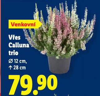 VES CALLUNA TRIO