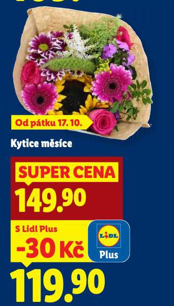 KYTICE MSCE