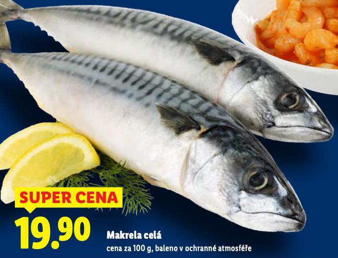 MAKRELA CEL