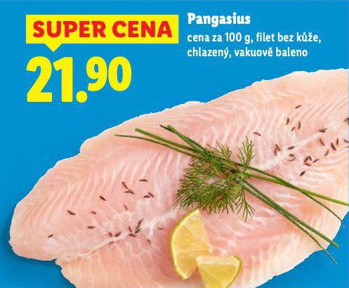 PANGASIUS