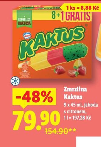 ZMRZLINA KAKTUS