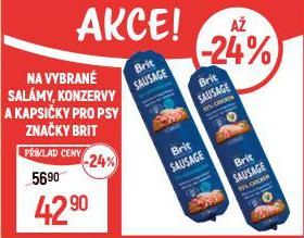 NA VYBRAN SALMY 