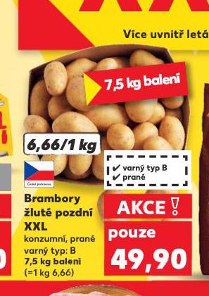BRAMBORY LUT POZDN