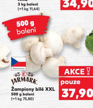 AMPIONY BL