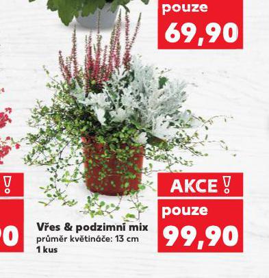 VES & PODZIMN MIX