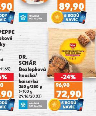 DR. SCHAR BEZLEPKOV HOUSKA