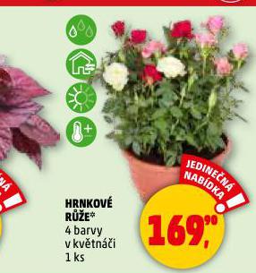 HRNKOV RَE