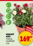 HRNKOV RَE