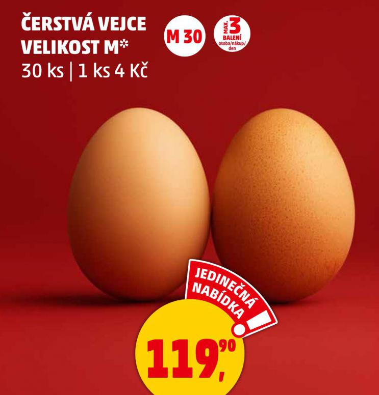 VEJCE M