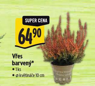 VES BAREVN
