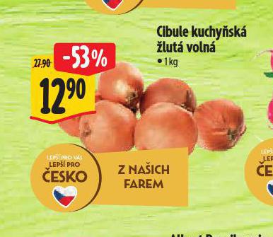 CIBULE KUCHYSK LUT