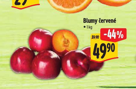 BLUMY ERVEN