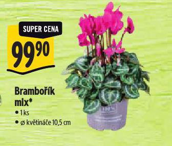 BRAMBOK MIX