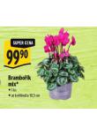 BRAMBOK MIX
