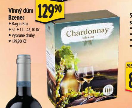 VINN DM BZANEC