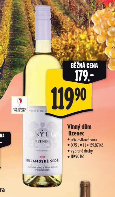 VINN DM BZENEC