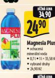 MAGNESIA PLUS